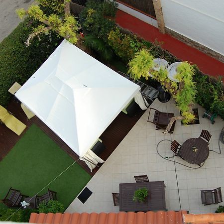 New Opening Villa Oasis Terramar Sitges Dış mekan fotoğraf
